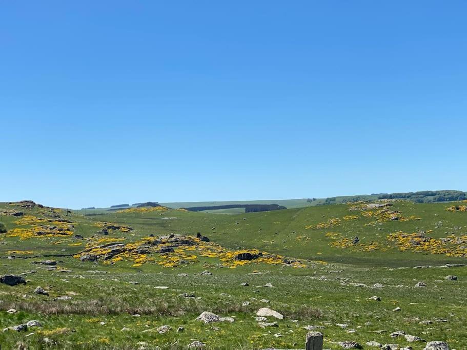 Вилла Buron Coeur D'Aubrac Marchastel  Экстерьер фото