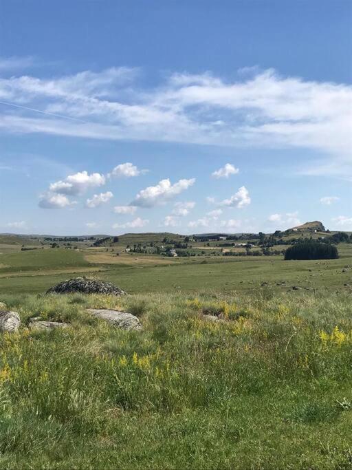 Вилла Buron Coeur D'Aubrac Marchastel  Экстерьер фото